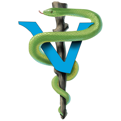 Verbac Animal Health logo design